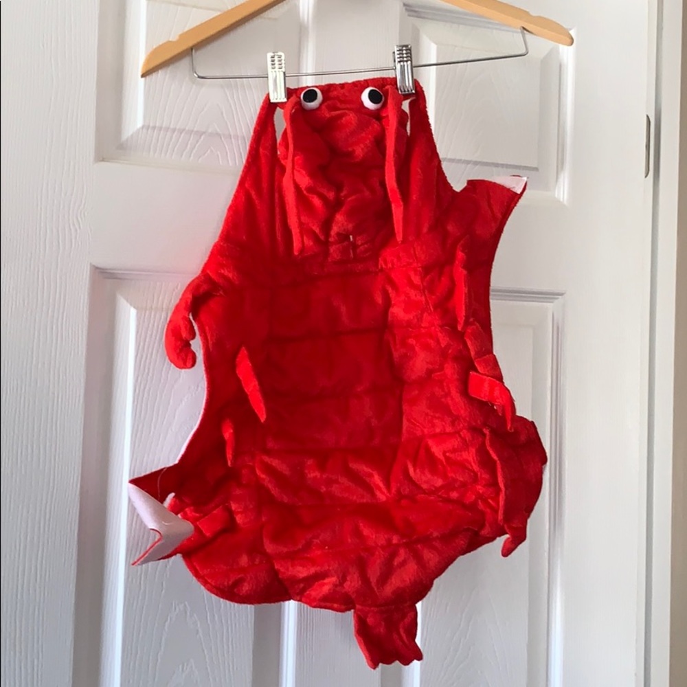 Lobster doggy costume